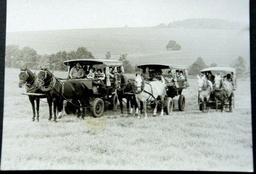 47414 chariot chevaux - ak, À