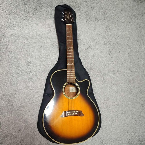 Guitare acoustique électrique