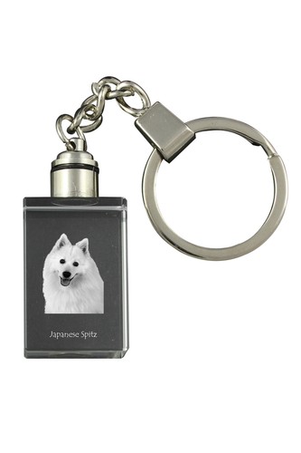 Spitz japonais porte - -clés, en