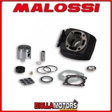 318384 CYLINDRE KIT MALOSSI