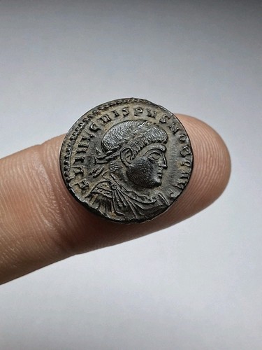 231 nummus crispus - -,