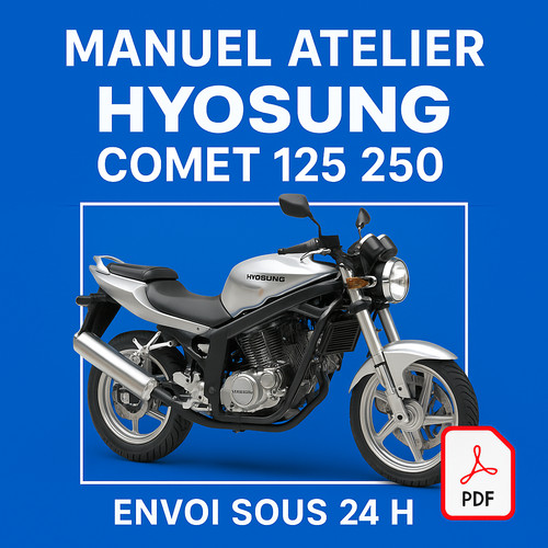Manuel atelier hyosung - manuel, comet