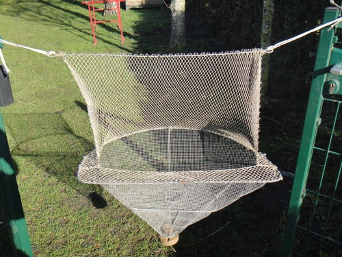 Pêche ancien poisson anguille - poisson,