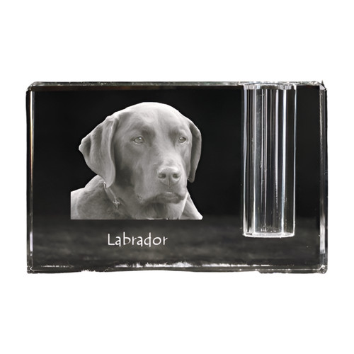 Labrador retriever porte - retriever,