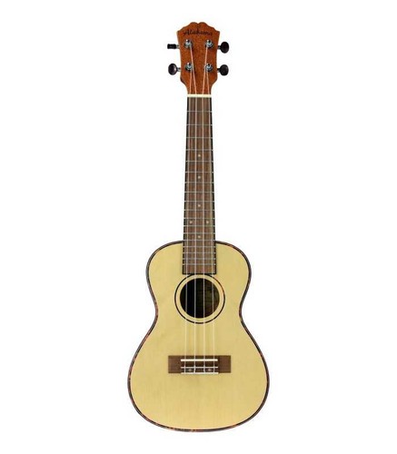 Ukulele concert alabama - ukulele,