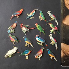 16 Chromos Oiseaux Exotiques