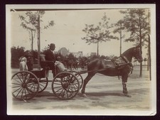 photo ancienne attelage