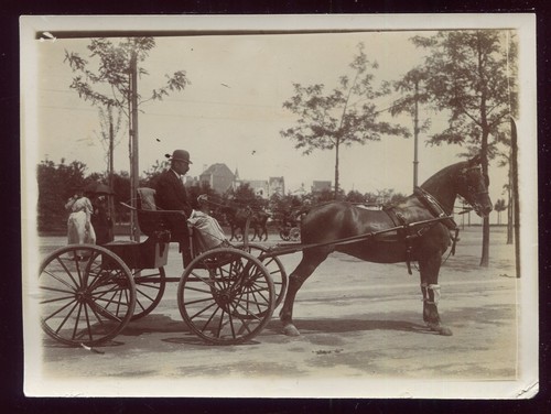 Photo ancienne attelage - photo,