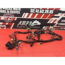 Faisceau électrique