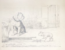 Beagle Ball Treppe Hermann