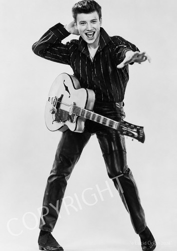 Photo johnny hallyday - a4,