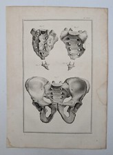 Basin - Anatomy - Osteology - Tarshish - 1759 - original board