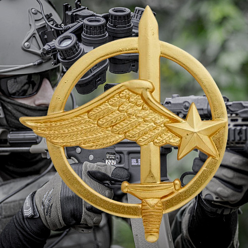 Insigne béret militaire - insigne, de
