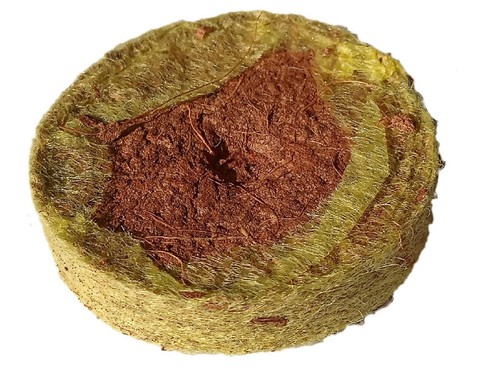 Pastille germination - de,