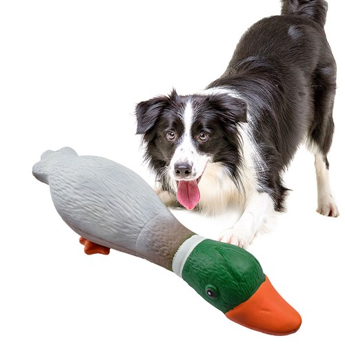 Canard colvert jouet pour