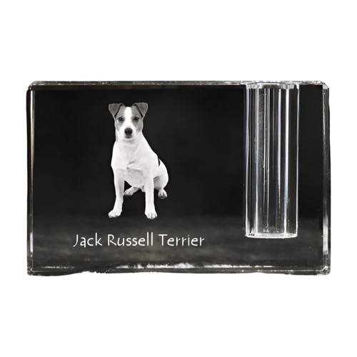 Jack russell terrier - jack,