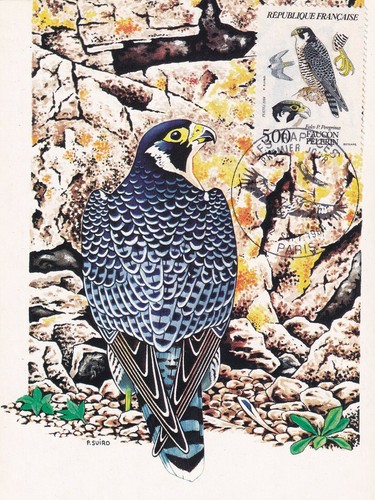 Carte postale postcard 1er