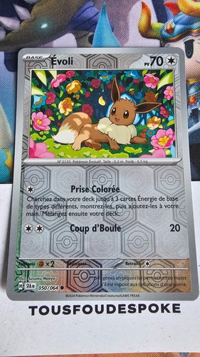 Evoli 70pv 050 064 - 050/064,