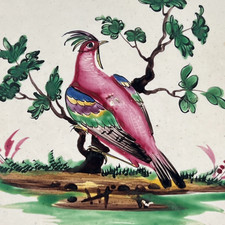 Les Islettes faience plate bird 18th century Saint Amand les Eaux