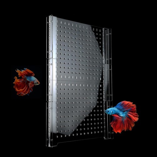 Acrylic fish tank - fish,