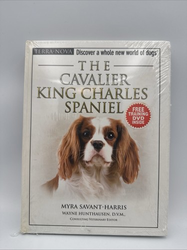 The cavalier king charles - cavalier,