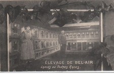 LE CREUSOT : élevage de lapins de toutes races - bon état (le texte est d