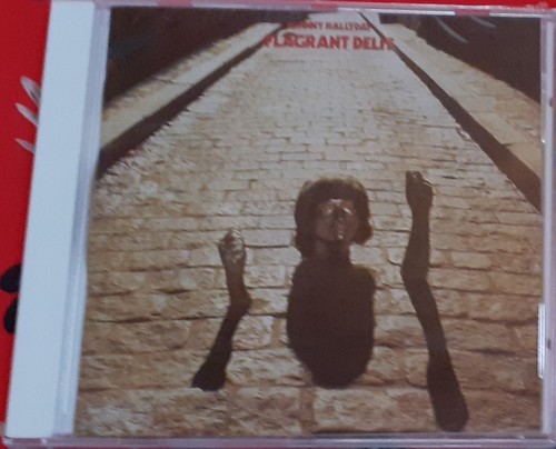 Johnny hallyday flagrant - johnny,