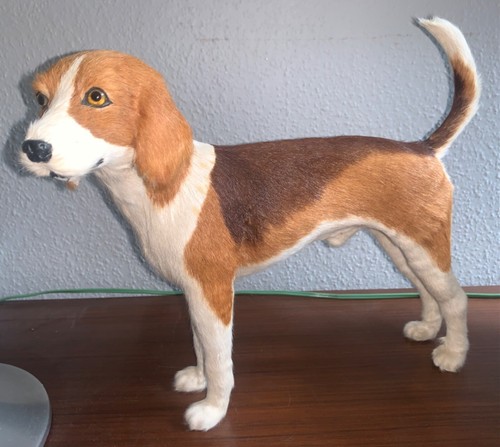 Magnifique statue taxidermie