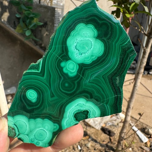 120g natural green - 120g,