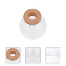  Bouteille En Verre Decorative Conteneur Terrarium Micro-aménagement