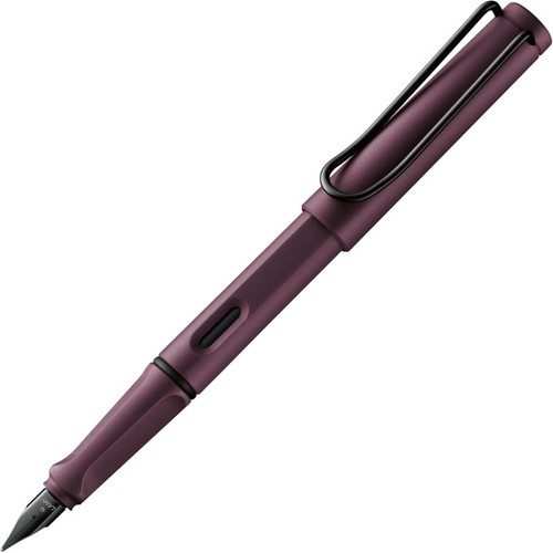 Stylo plume mine extra fine - plume,