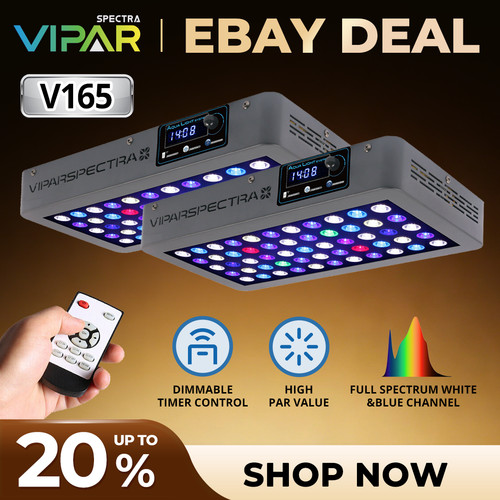 Viparspectra timer control - timer,