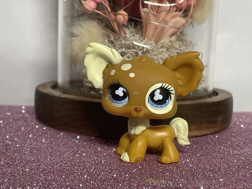 Petshop chien papillon - 🌸petshop,