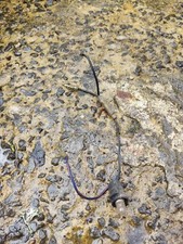 Faisceau Compteur Yamaha 125