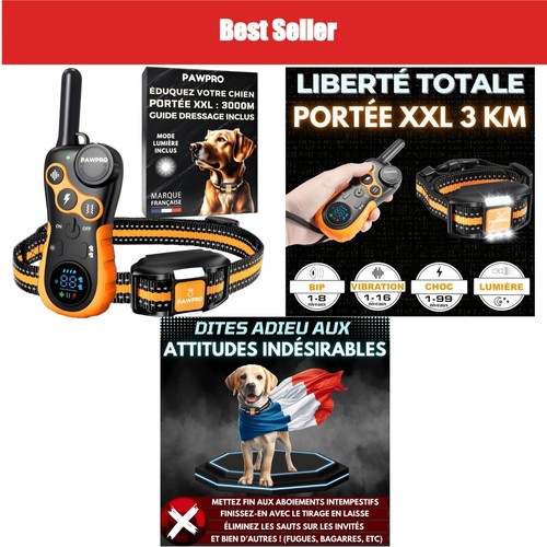 Collier dressage pawpro - de,