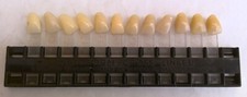 OLD DENTAL COLOR CHART ANATOFORM TOOTH SHADE SET 15.7 gr (LOT.4)
