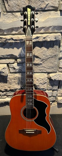 2021 eko ranger - 2021, acoustic