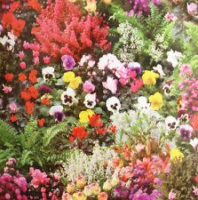 Nappe de Table en Toile Cirée