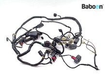 Faisceau de câblage Kawasaki