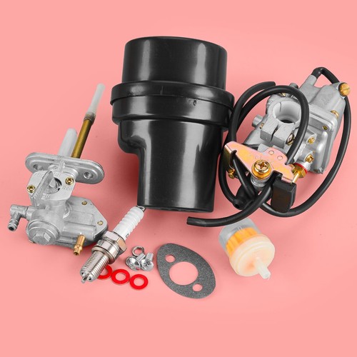 Carburetor air fuel filter - fuel,
