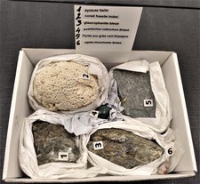 6 minéraux boite 29 agate