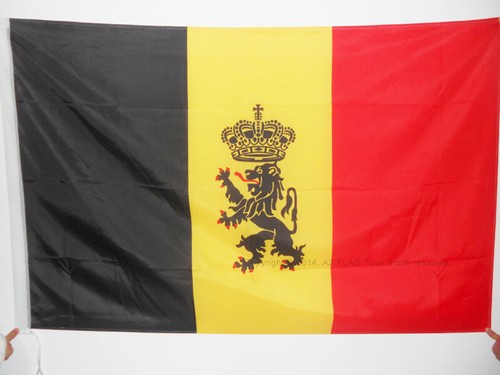 Drapeau belgique avec lion - drapeau,