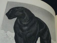 DEMAISON : LA COMEDIE DES