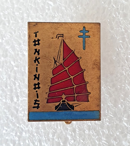 Marine tonkinois arthus - marine,