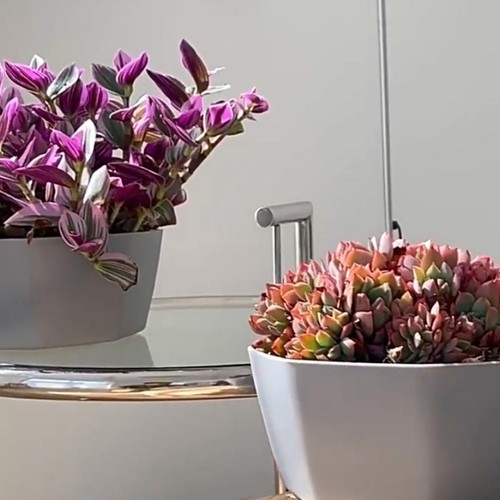 Pot fleurs plastique - pot,