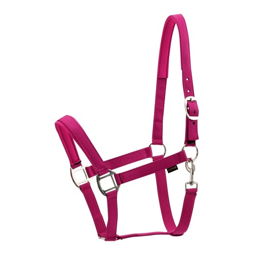 Harnais nylon pour - en,