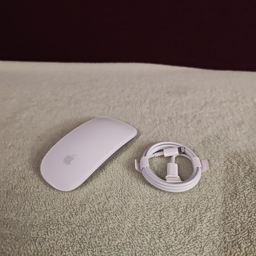 Souris sans fil apple magic - apple,