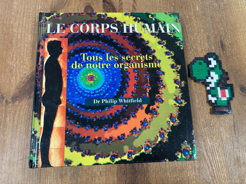 Corps humain tous - humain,