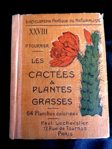 Jardin les cactées et - cactées,