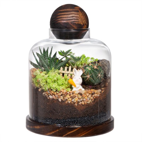 Large glass terrarium for - glass,